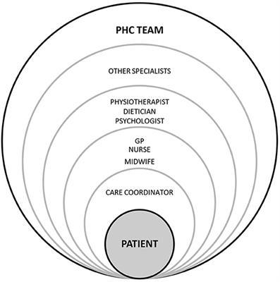 A Polish Pilot Programme of Coordinated Care: A Herald of Change or a Missed Opportunity? A Critical Debate